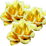 Breskvica