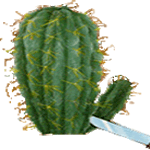 Celzijev oreocerej
