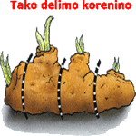 Dihurjevka