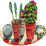 Falenopsis
