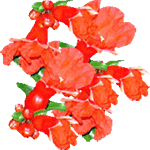 Granatno jabolko