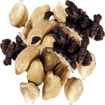 Kardamom