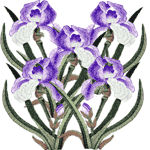 Mavrica