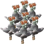 Pahifit