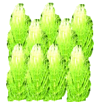 Trdi rogolist