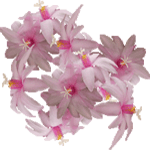 Velikonočni členar